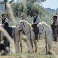 visites-spectacles