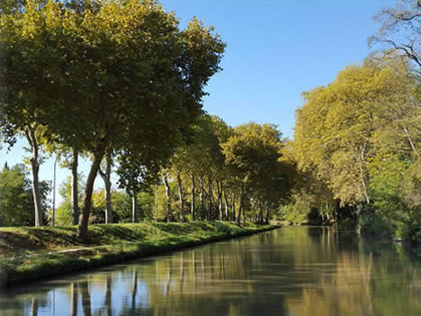 Paul Riquet et le Canal du Midi
