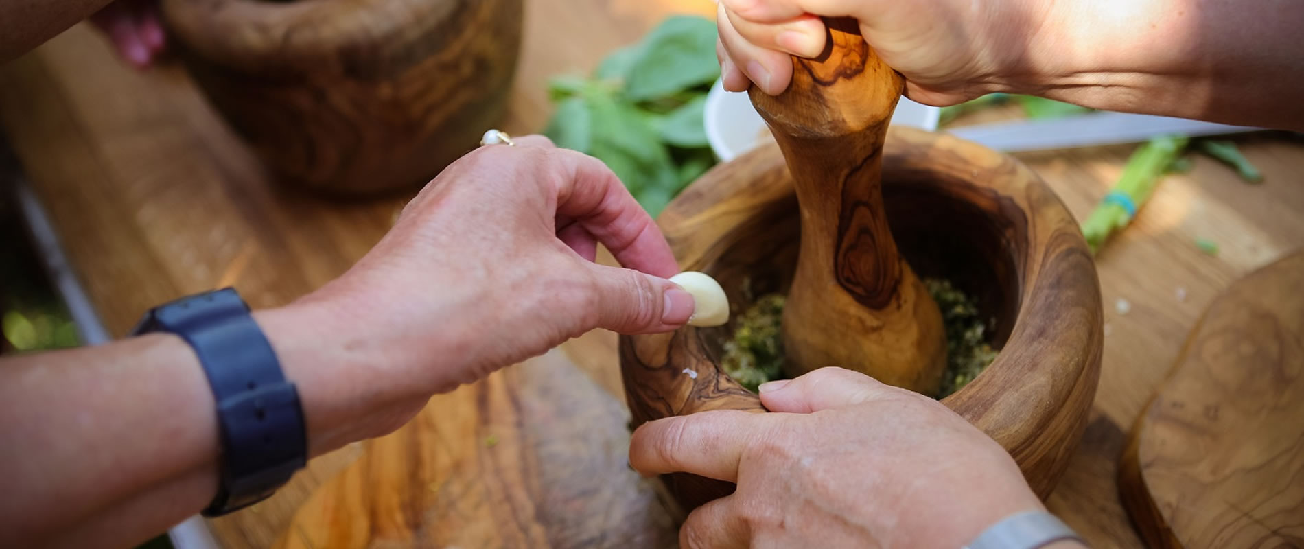 Ateliers découverte en Occitanie