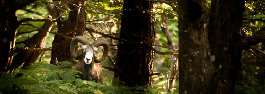 séjours en Parcs Naturels en Occitanie