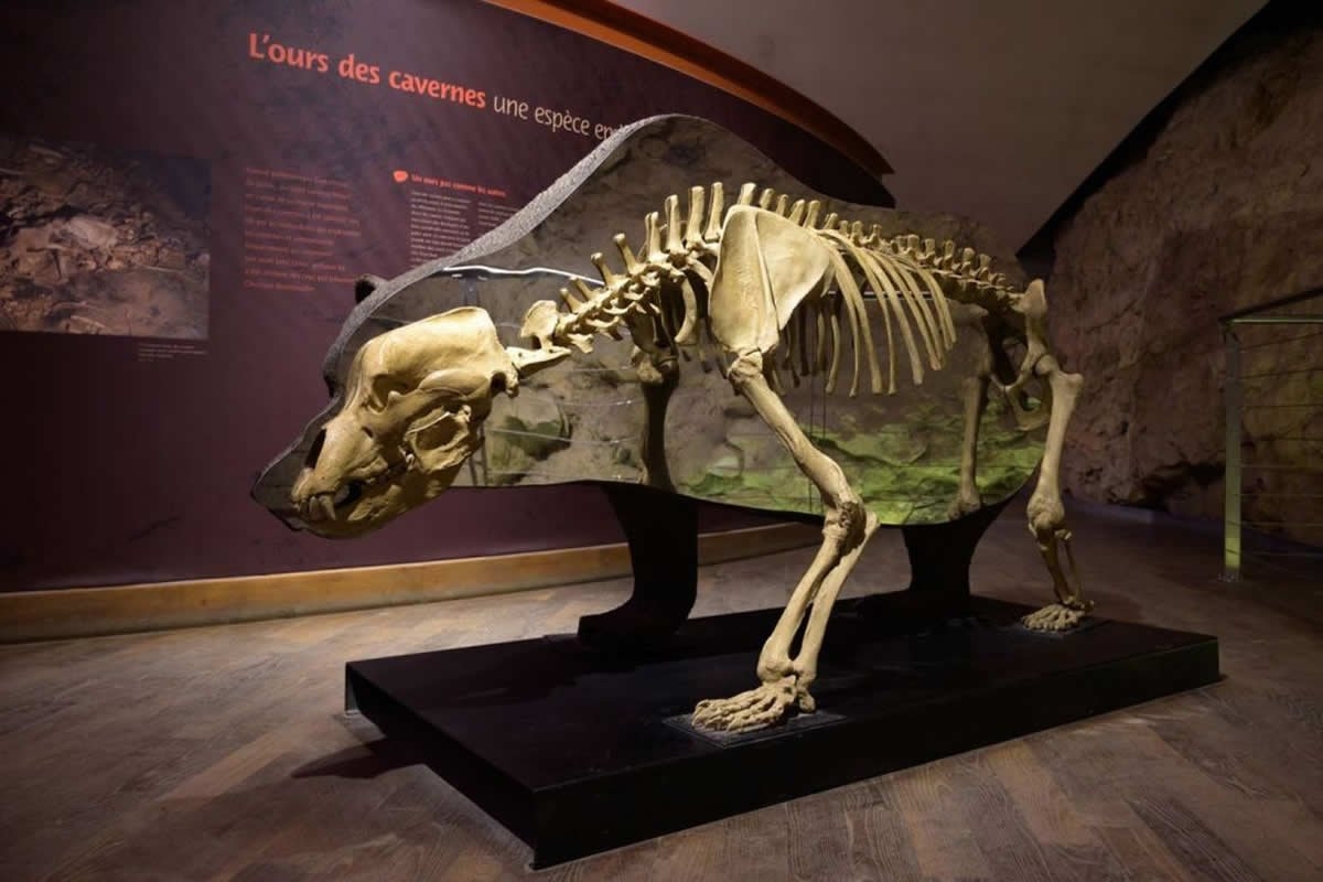 Sudfrance.fr - Visite de la Grotte et du Musée du Mas d’Azil