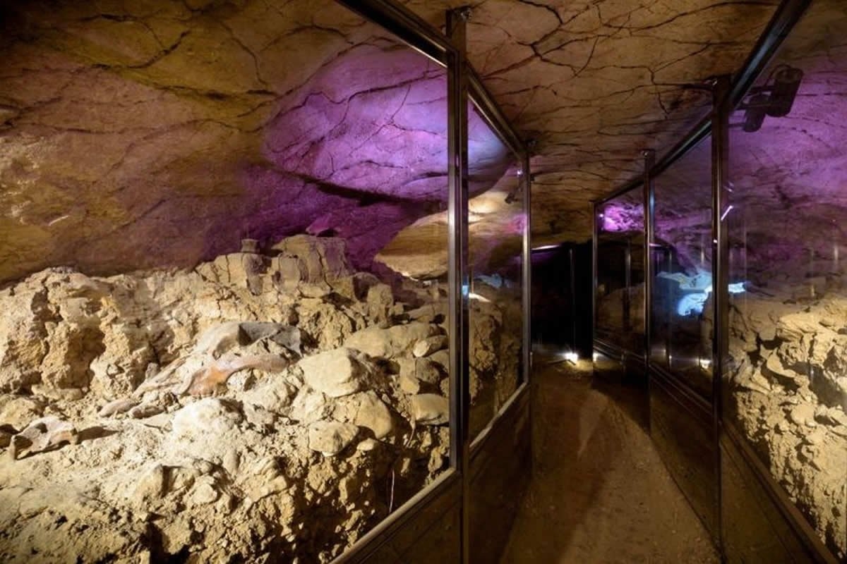 Sudfrance.fr - Visite de la Grotte et du Musée du Mas d’Azil