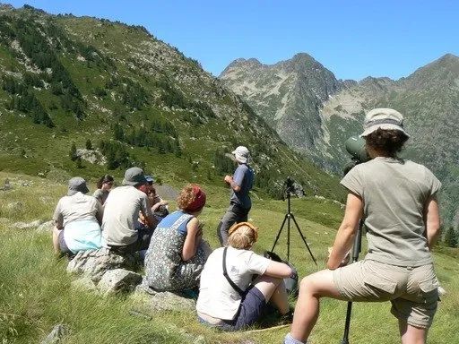 Sudfrance.fr - Visite de l'espace muséographique de Mountaneô en Ariège