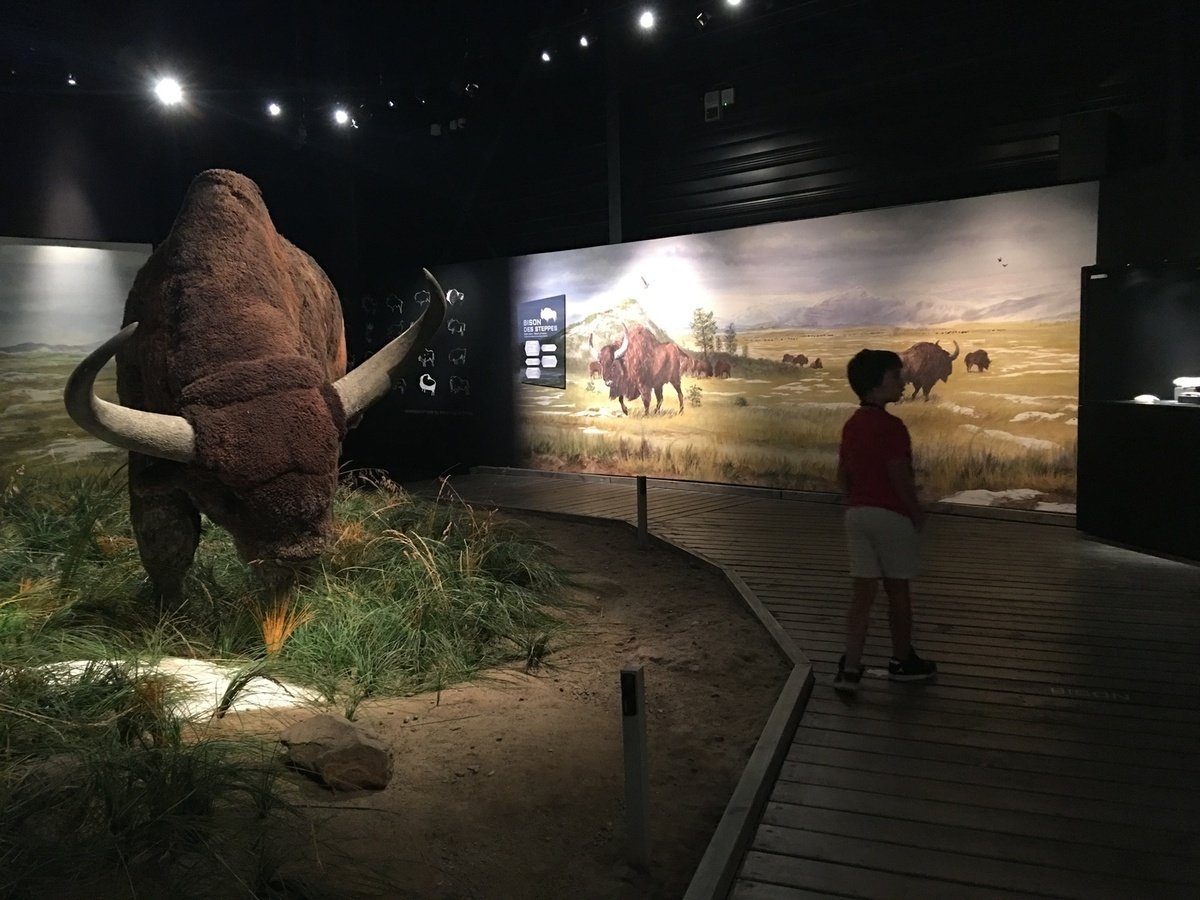 Sudfrance.fr - Visite du Parc de la Préhistoire à Tarascon-sur-Ariège