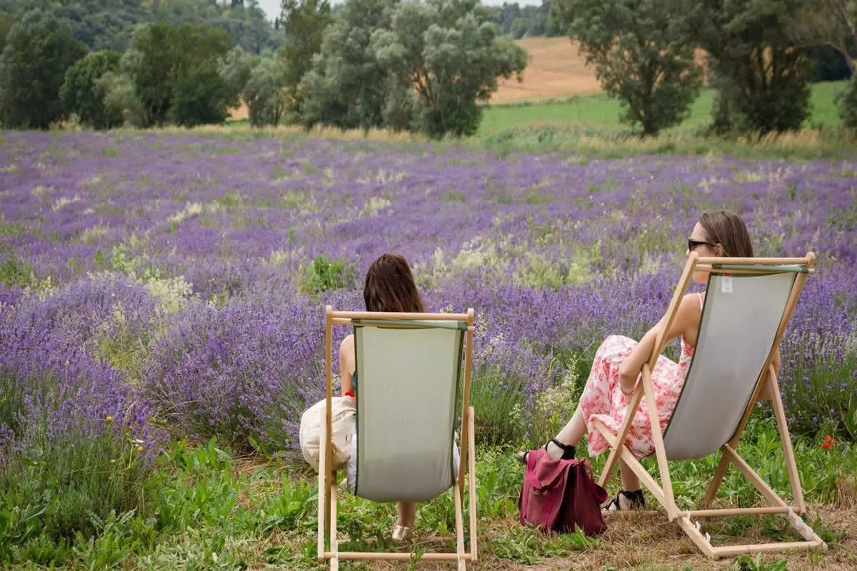 Sudfrance.fr - Visite à Besplas, terroir insoupçonné de la lavande
