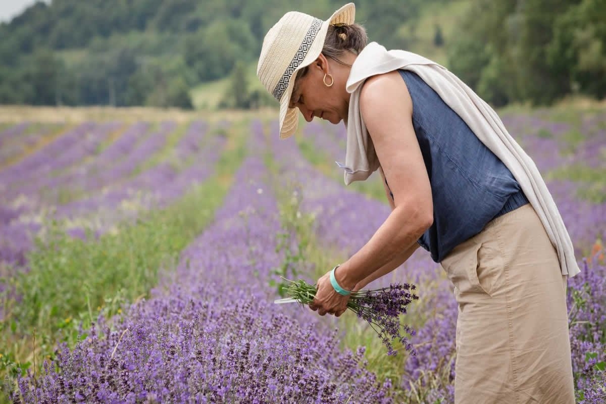 Sudfrance.fr - Visite à Besplas, terroir insoupçonné de la lavande