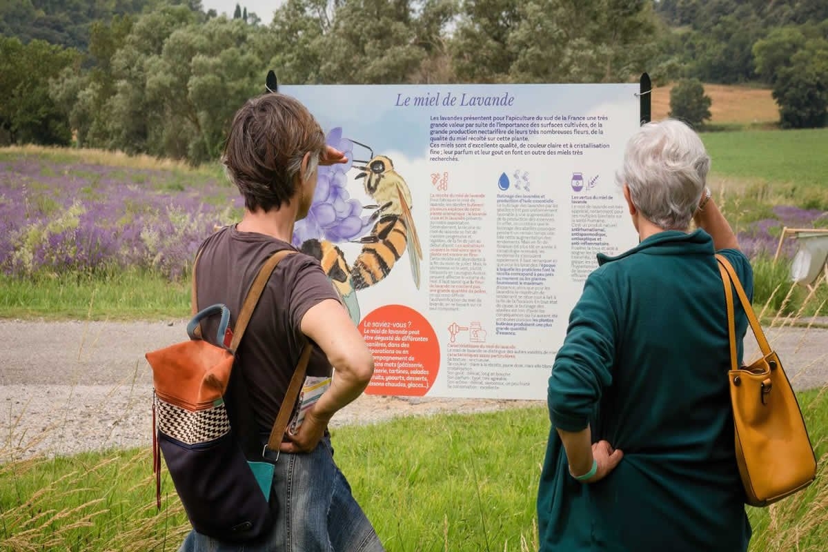 Sudfrance.fr - Visite à Besplas, terroir insoupçonné de la lavande