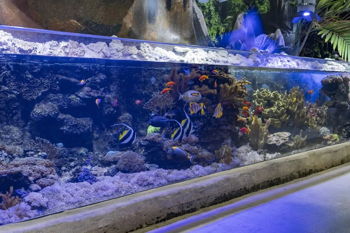 Sudfrance.fr - Visite de l'aquarium Oniria, immersion sensorielle unique