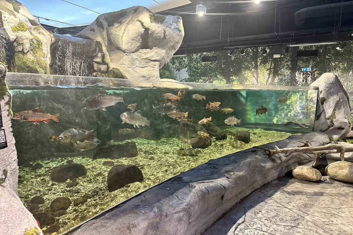 Sudfrance.fr - Visite de l'aquarium Oniria, immersion sensorielle unique