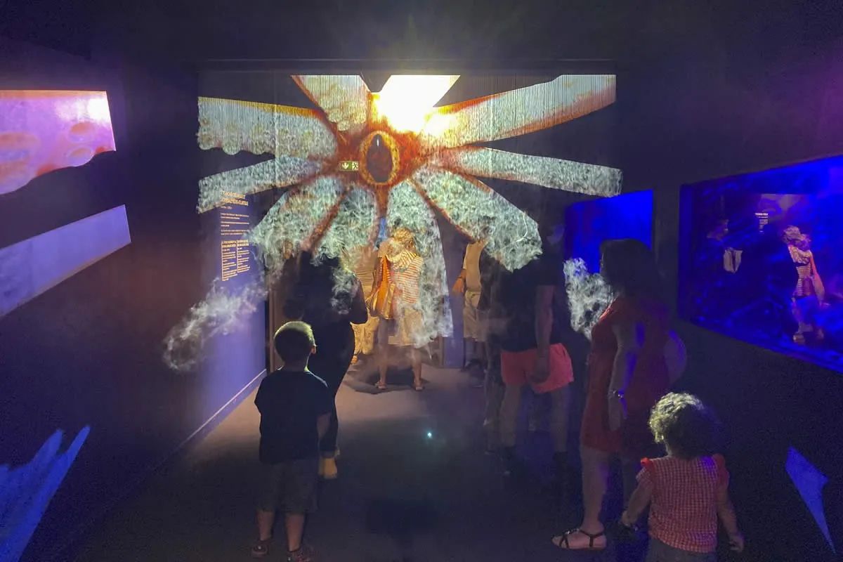 Sudfrance.fr - Visite de l'aquarium Oniria, immersion sensorielle unique