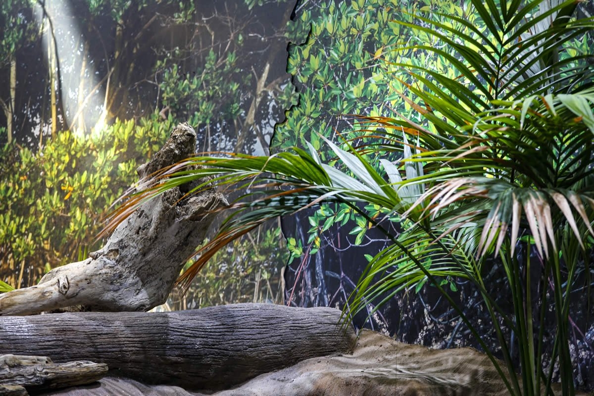 Sudfrance.fr - Visite de l'aquarium Oniria, immersion sensorielle unique