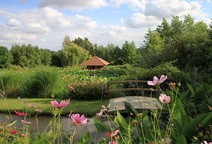 Sudfrance.fr - Visite des Jardins des Martels dans le Tarn