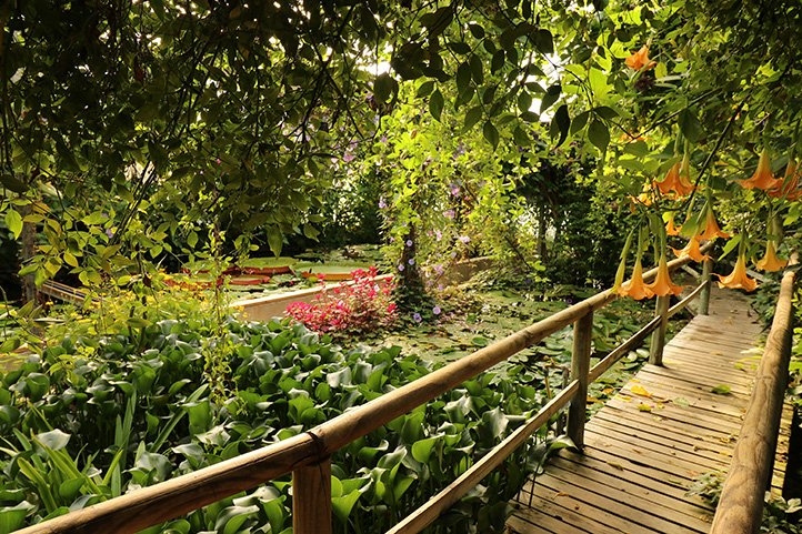 Sudfrance.fr - Visite des Jardins des Martels