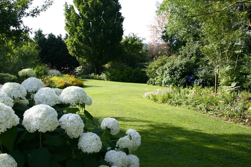Sudfrance.fr - Visite des Jardins des Martels dans le Tarn