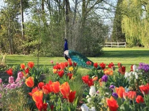 Sudfrance.fr - Visite des Jardins des Martels dans le Tarn