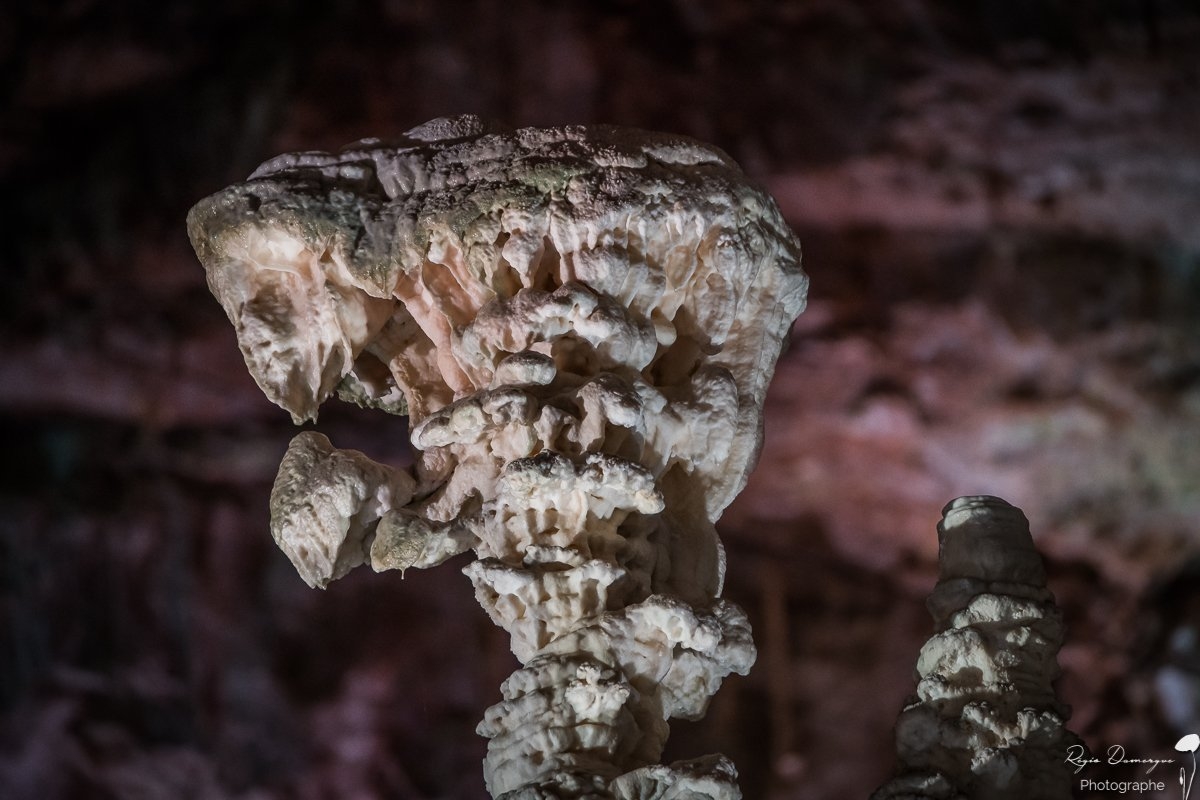 Sudfrance.fr - Grotte Aven Armand