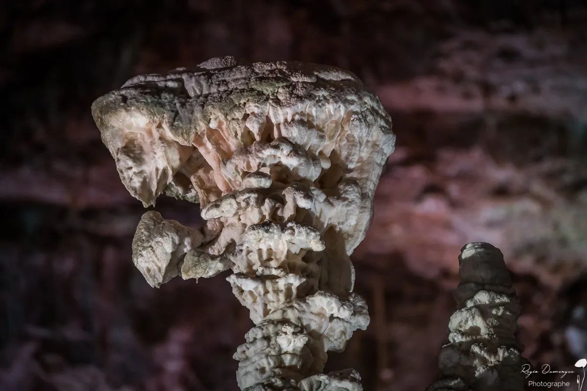 Sudfrance.fr - Grotte Aven Armand