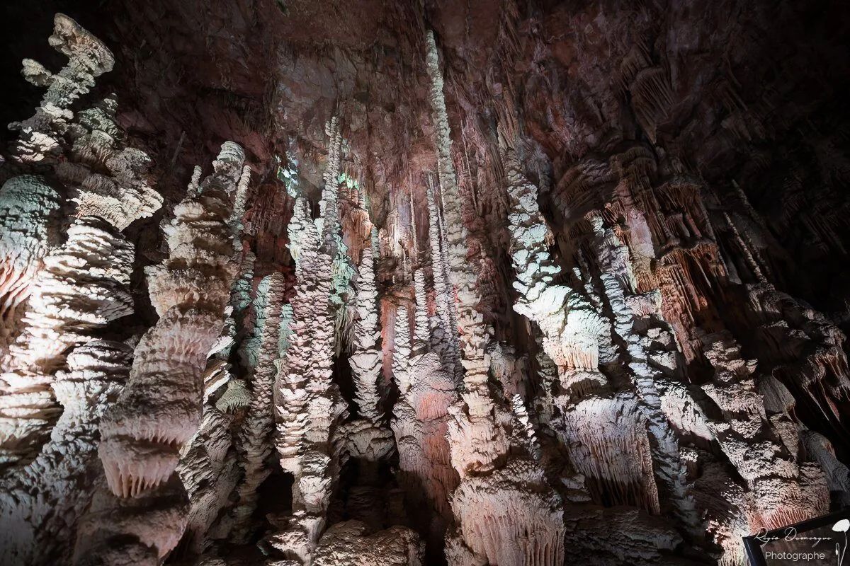 Sudfrance.fr - Jules Verne tour of the Aven Armand cave in Lozère