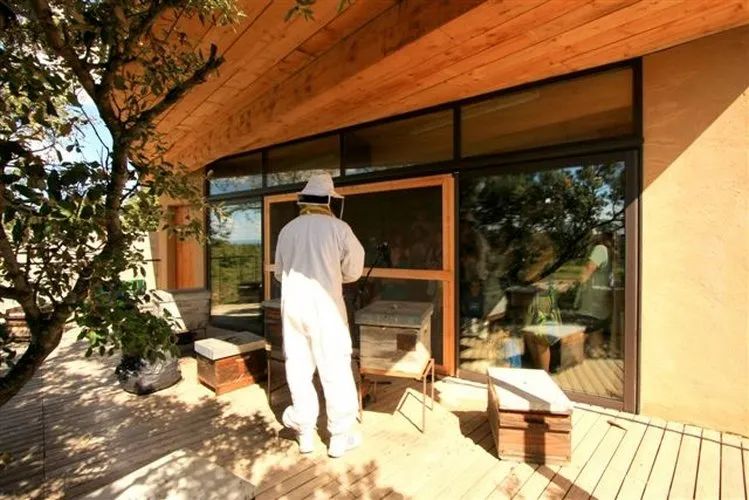Sudfrance.fr - Le théâtre aux abeilles à la miellerie des Clauses