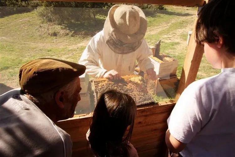 Sudfrance.fr - Le théâtre aux abeilles à la miellerie des Clauses