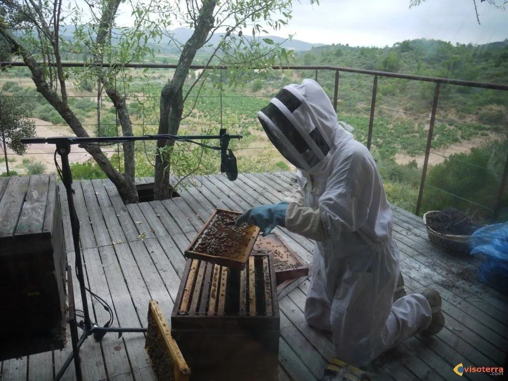 Sudfrance.fr - Le théâtre aux abeilles à la miellerie des Clauses