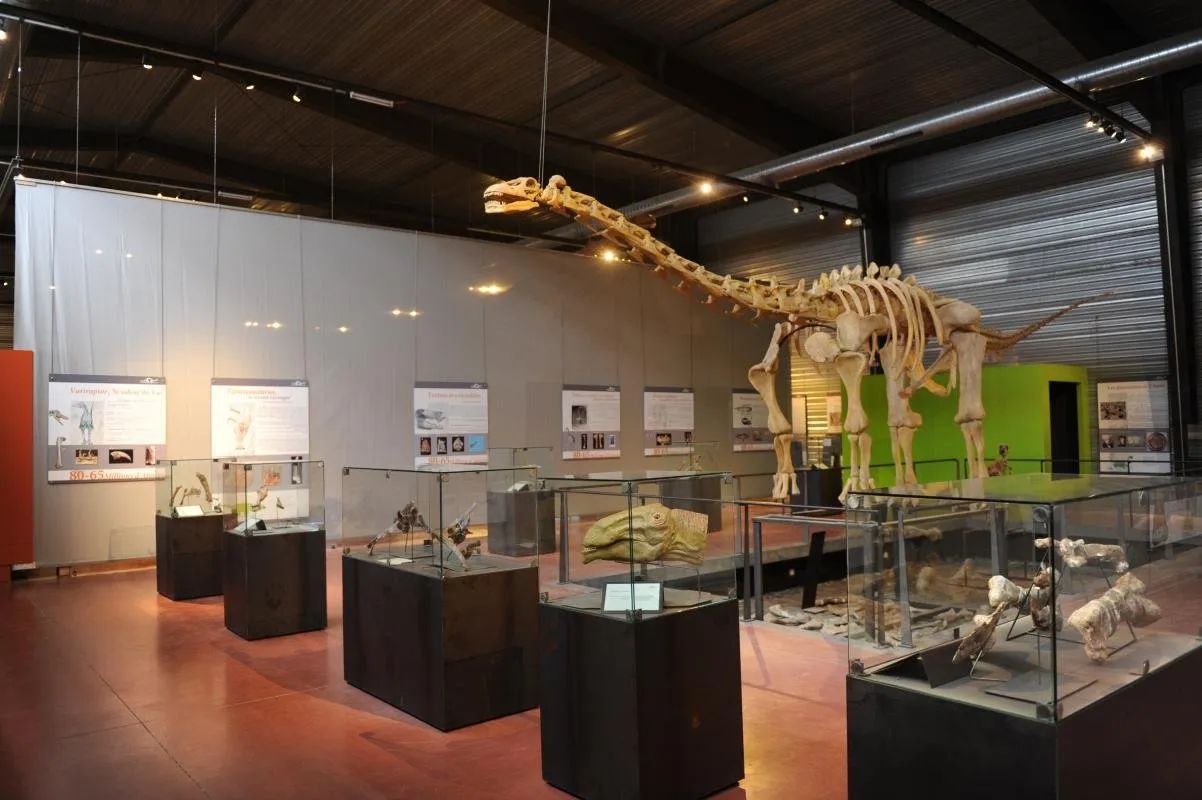 Sudfrance.fr - Visite du musée des dinosaures à Espéraza