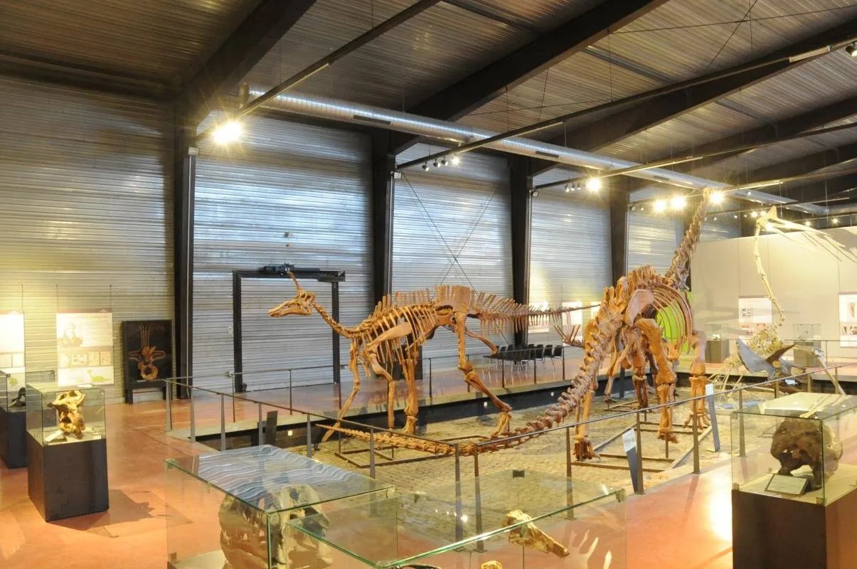 Sudfrance.fr - Visite du musée des dinosaures à Espéraza