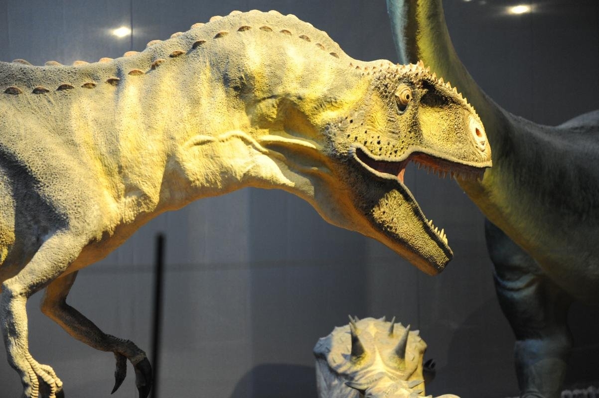 Sudfrance.fr - Musée des dinosaures à Espéraza: Plongez dans le monde fascinant des géants du passé !