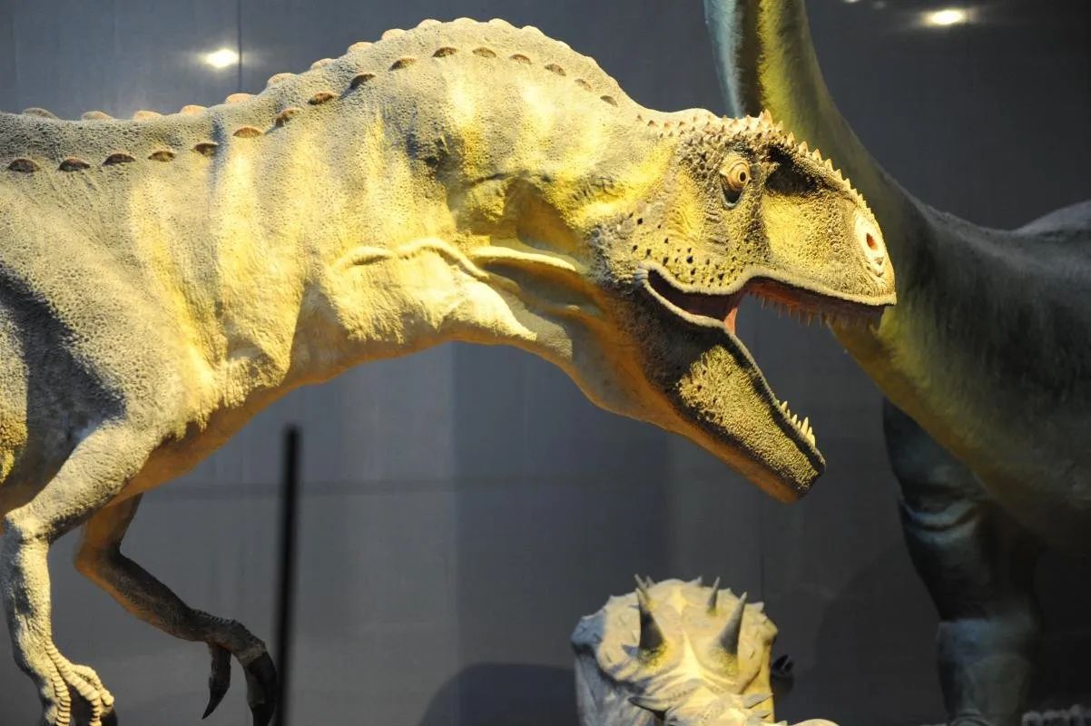 Sudfrance.fr - Visite du musée des dinosaures à Espéraza