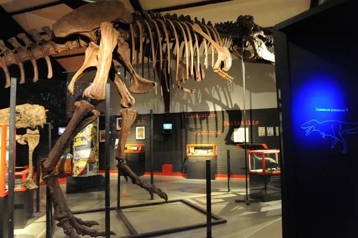 Sudfrance.fr - Visite du musée des dinosaures à Espéraza