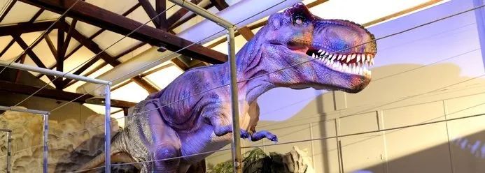Sudfrance.fr - Visite du musée des dinosaures à Espéraza