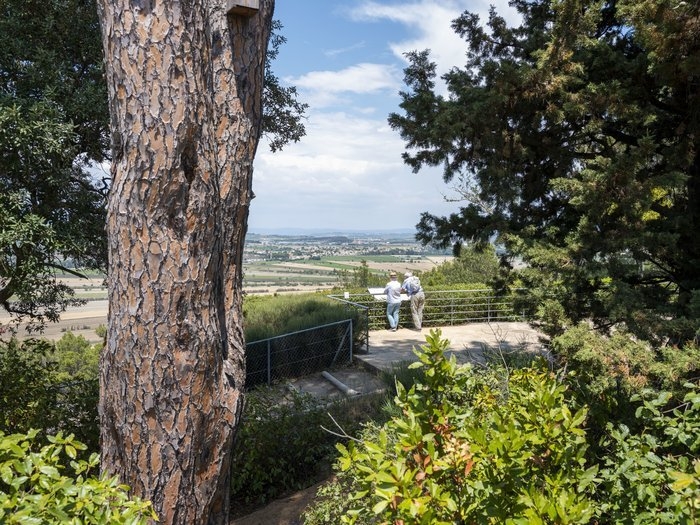 Sudfrance.fr - Billet Ensérune, oppidum et musée archéologique