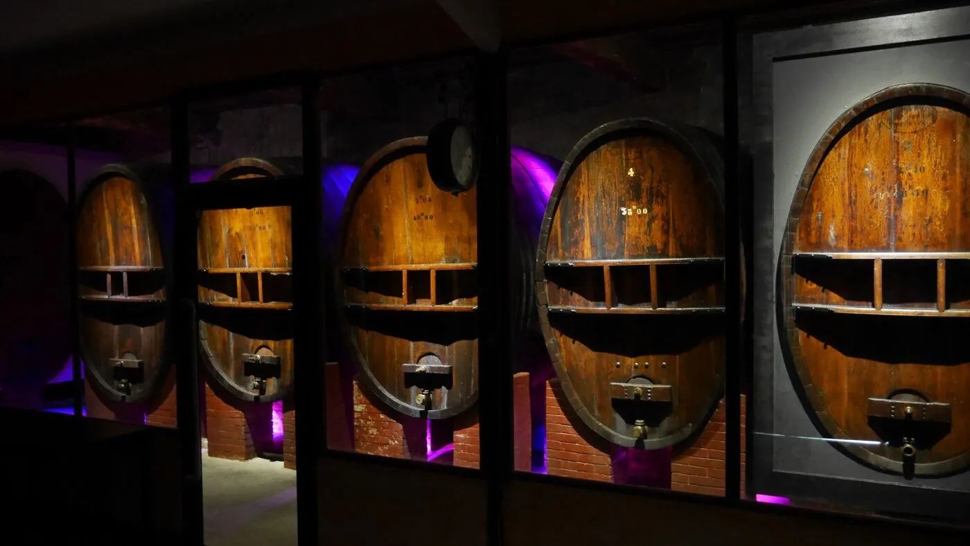 Sudfrance.fr - Visite et dégustation de Blanquette de Limoux