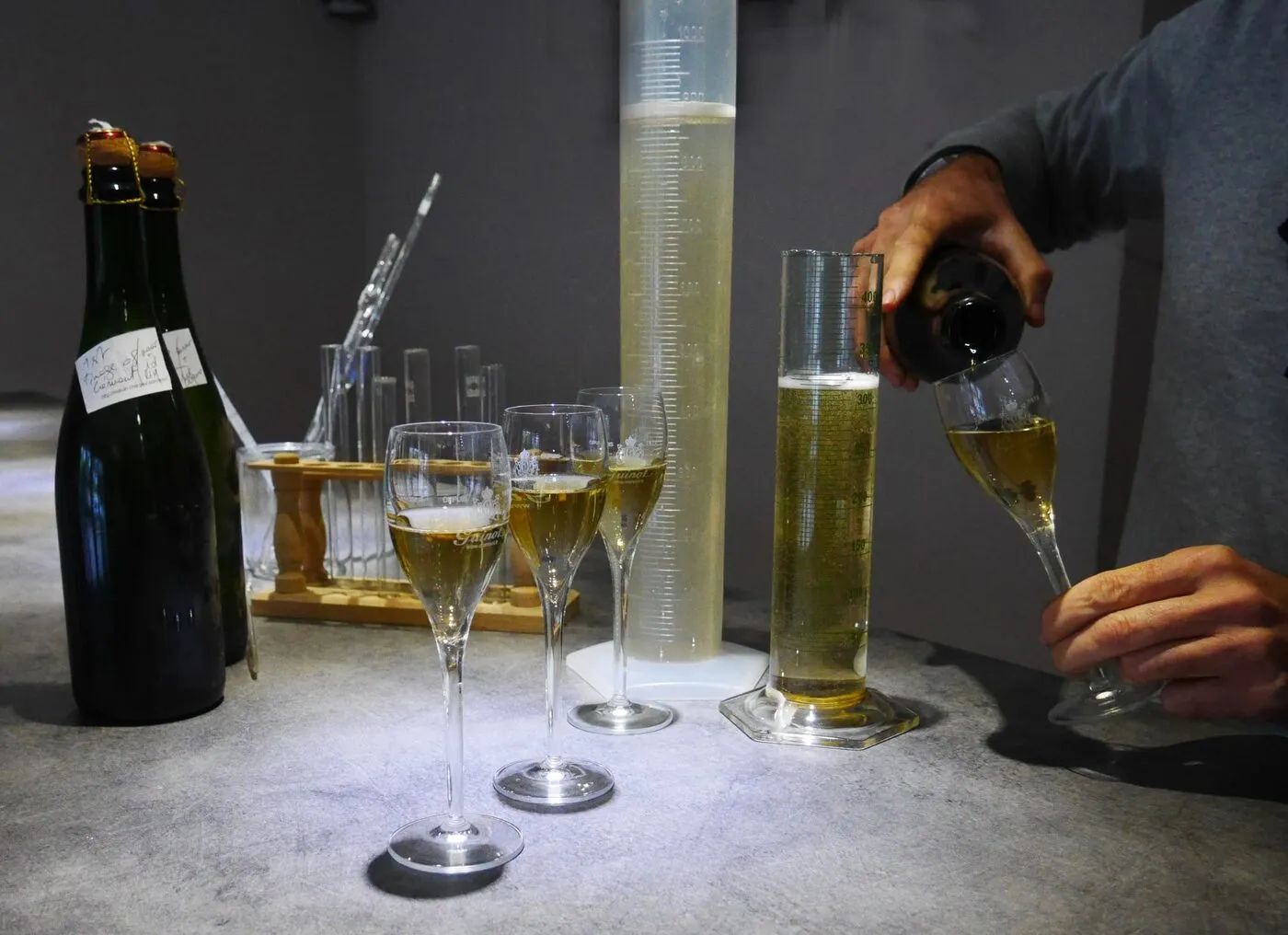 Sudfrance.fr - Visite et dégustation de Blanquette de Limoux