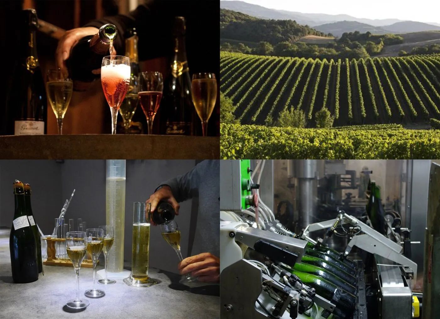 Sudfrance.fr - Visite et dégustation de Blanquette de Limoux