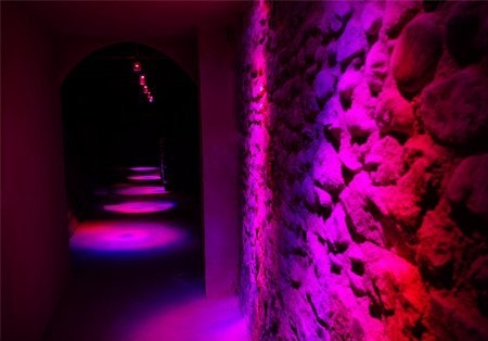 Sudfrance.fr - Plongez dans l’univers lumineux de la Maison Guinot à Limoux !