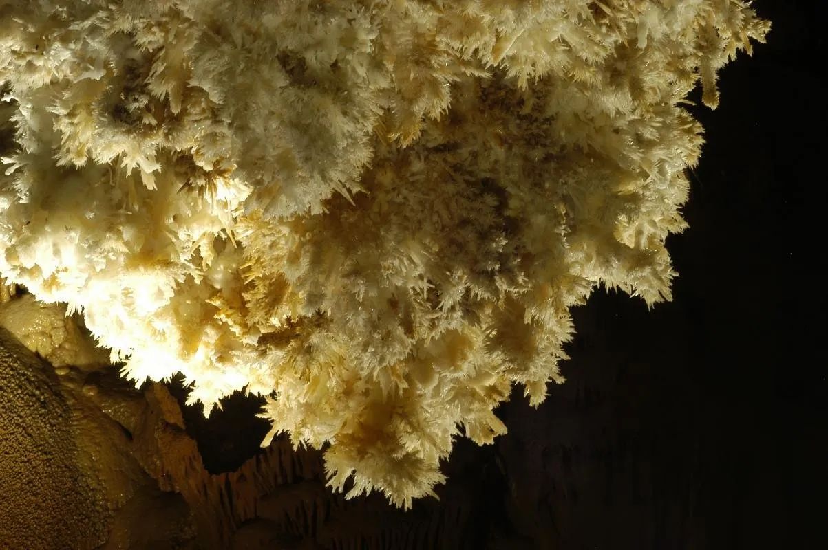 Sudfrance.fr - Visite guidée grotte de Limousis
