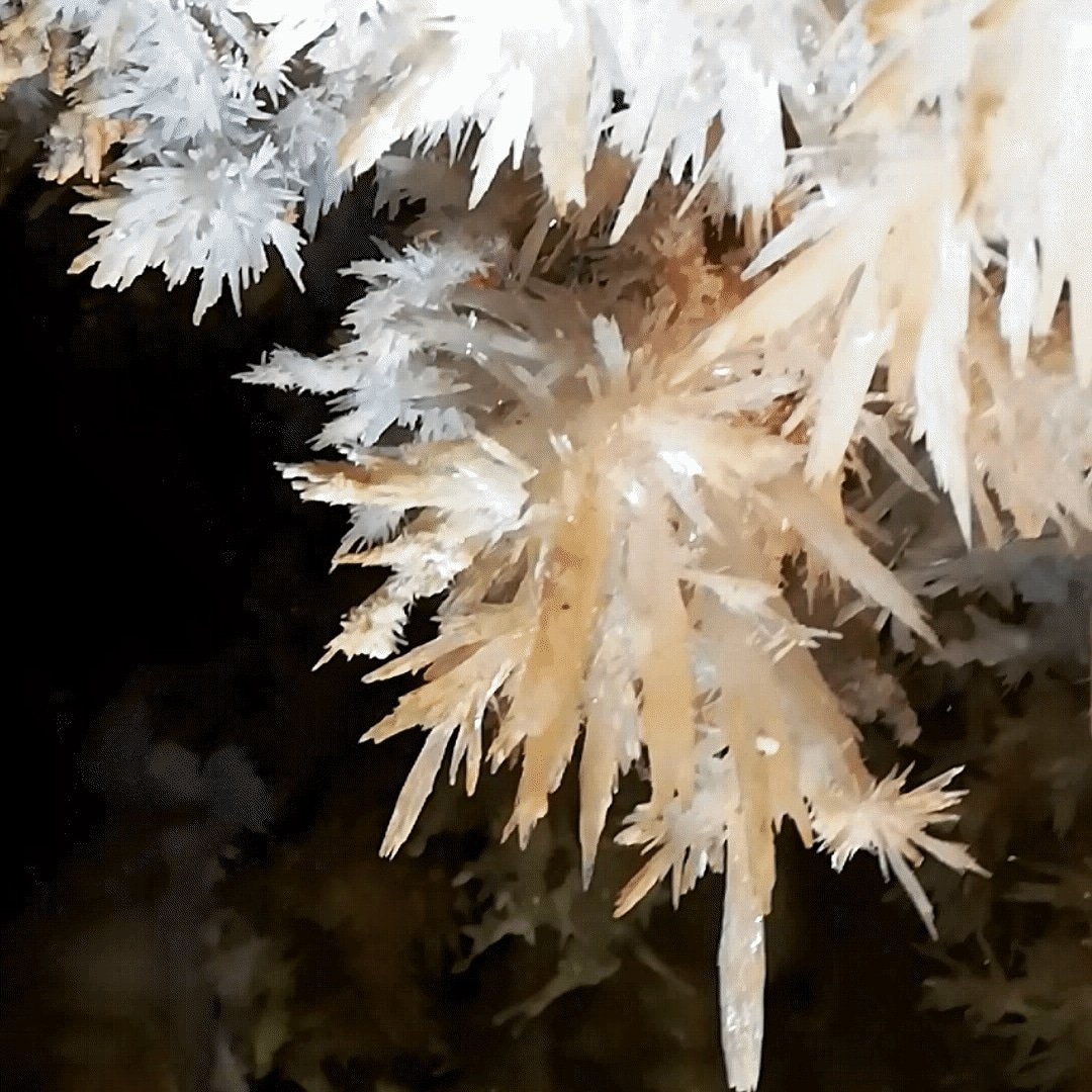 Sudfrance.fr - La grotte de Limousis