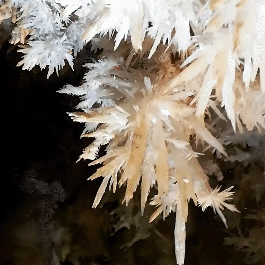 Sudfrance.fr - Visite guidée grotte de Limousis