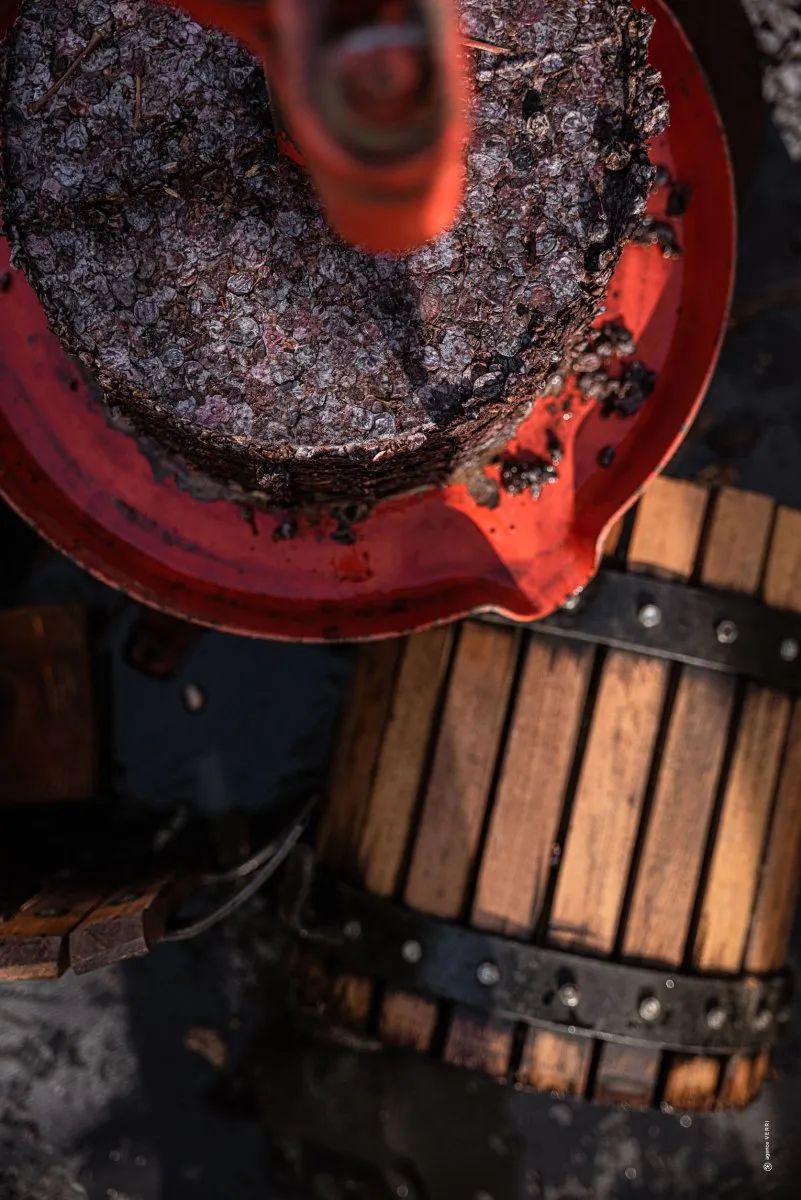 Sudfrance.fr - Visite commentée et dégustation vinaigrerie authentique