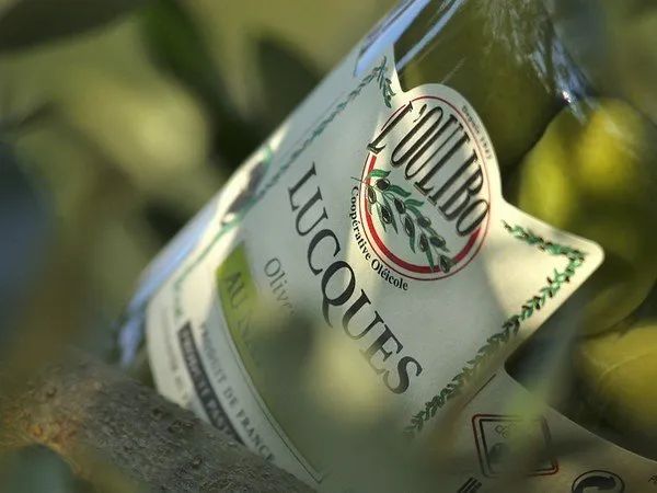 Sudfrance.fr - Visite de l’Odyssée de l’Olivier dans le Minervois