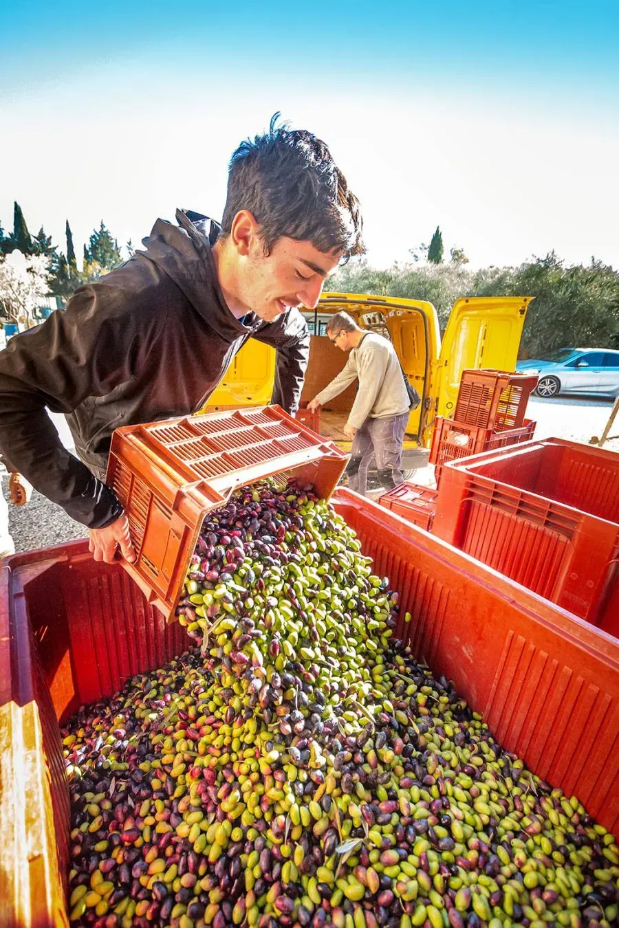 Sudfrance.fr - Visite de l’Odyssée de l’Olivier dans le Minervois