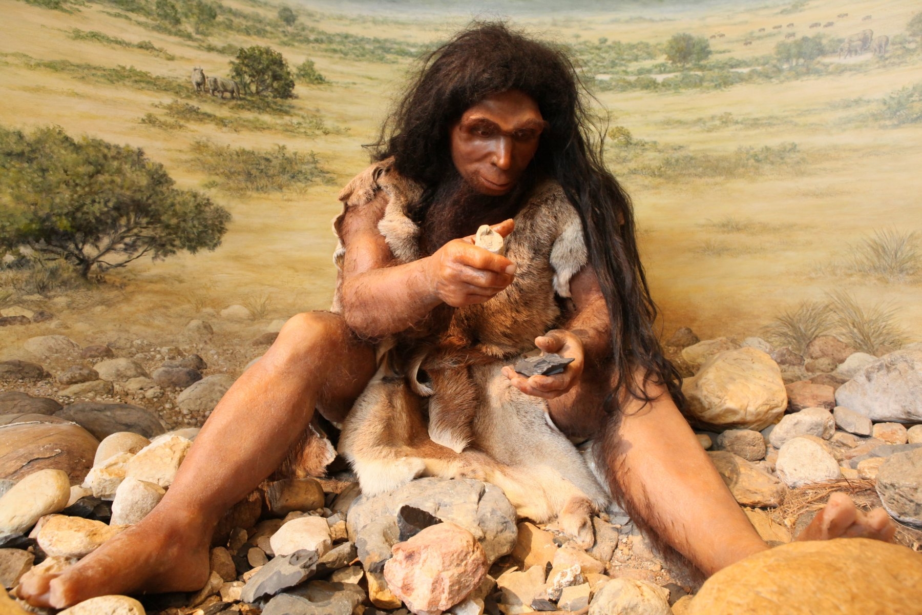 Sudfrance.fr - Musée de Préhistoire de Tautavel, un voyage en famille dans le passé.