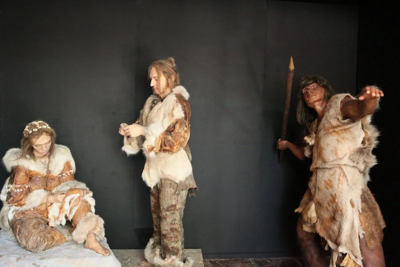 Sudfrance.fr - Visite du musée de la Préhistoire de Tautavel