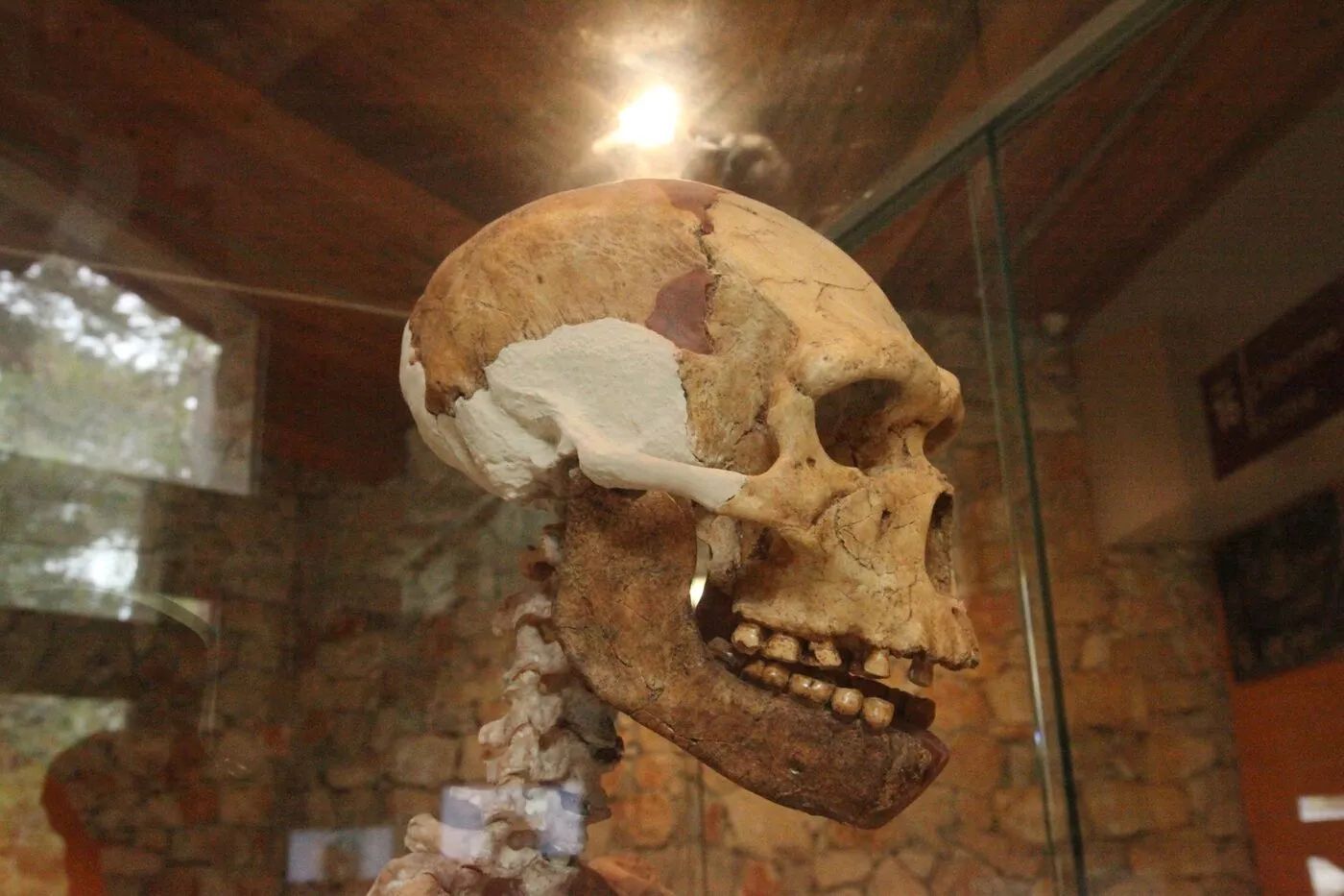 Sudfrance.fr - Visite du musée de la Préhistoire de Tautavel