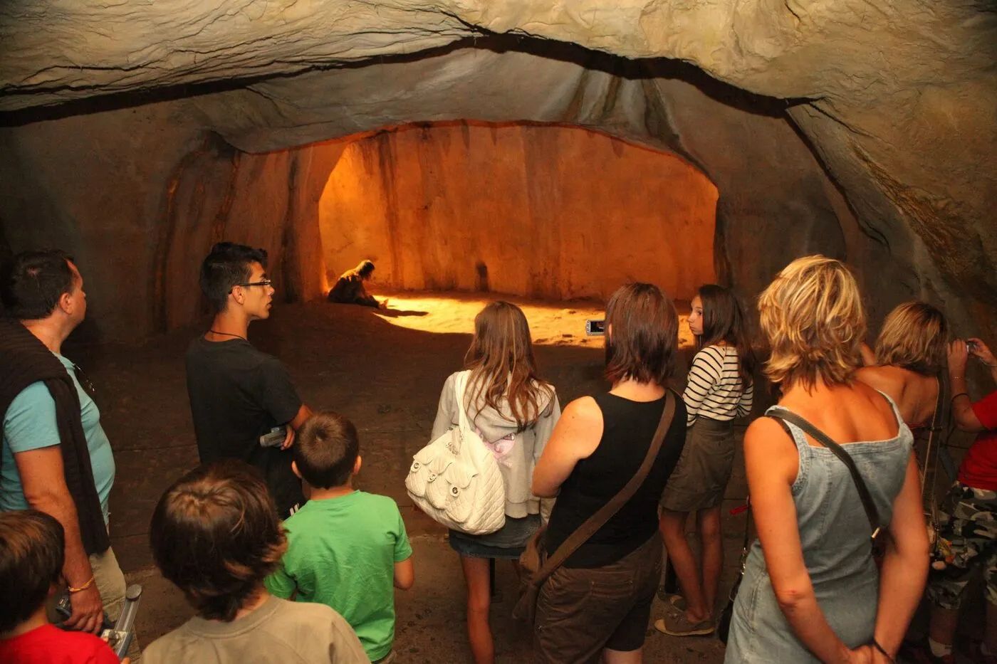 Sudfrance.fr - Visite du musée de la Préhistoire de Tautavel