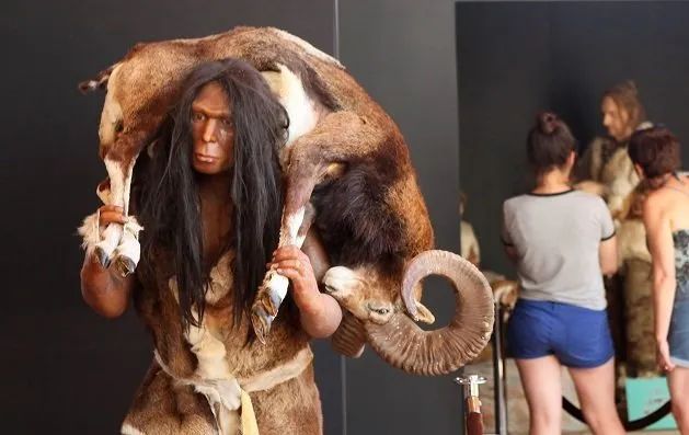 Sudfrance.fr - Visite du musée de la Préhistoire de Tautavel