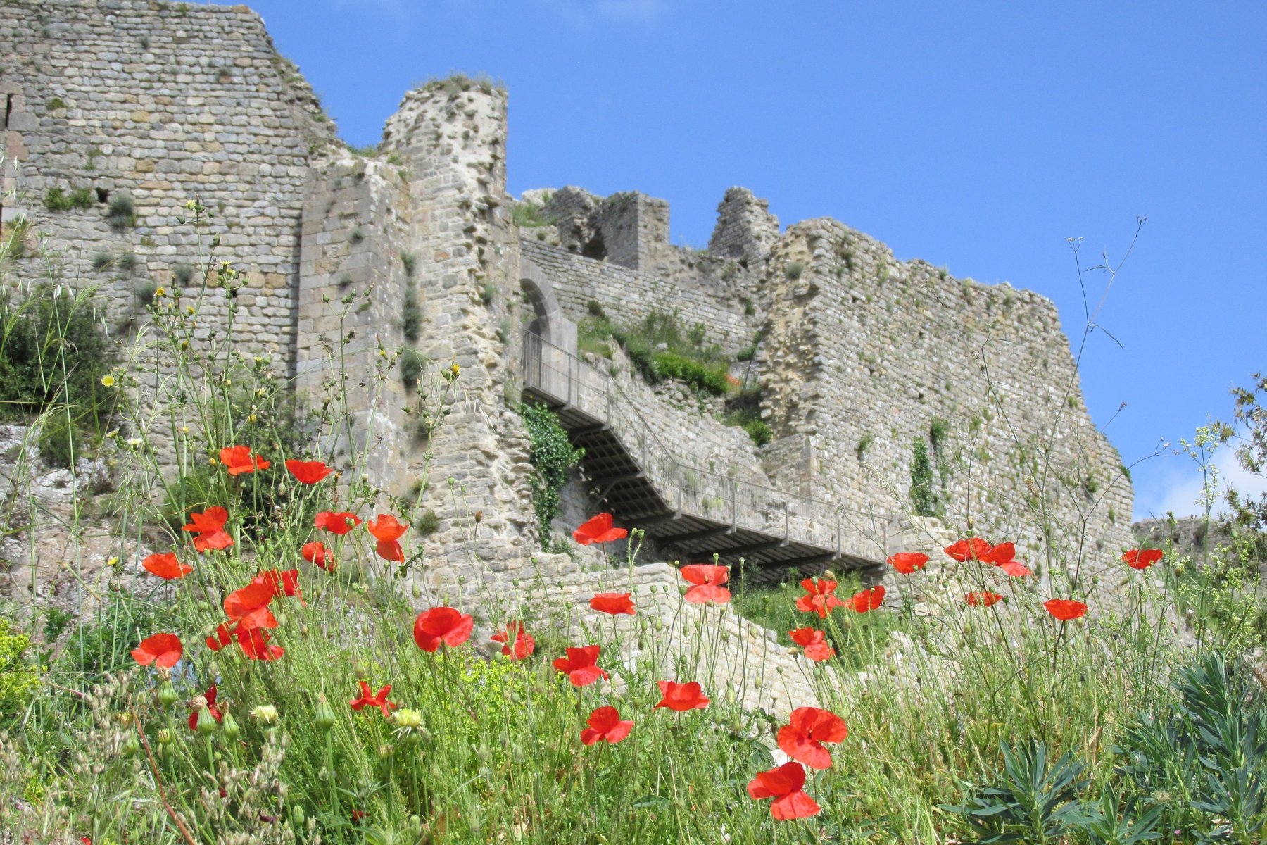 Sudfrance.fr - Visite du château de Termes