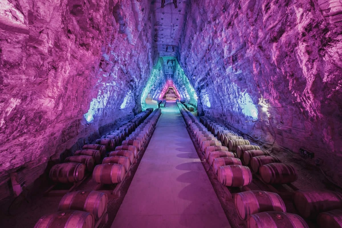 Sudfrance.fr - Visite de Terra Vinea à Portel des Corbières