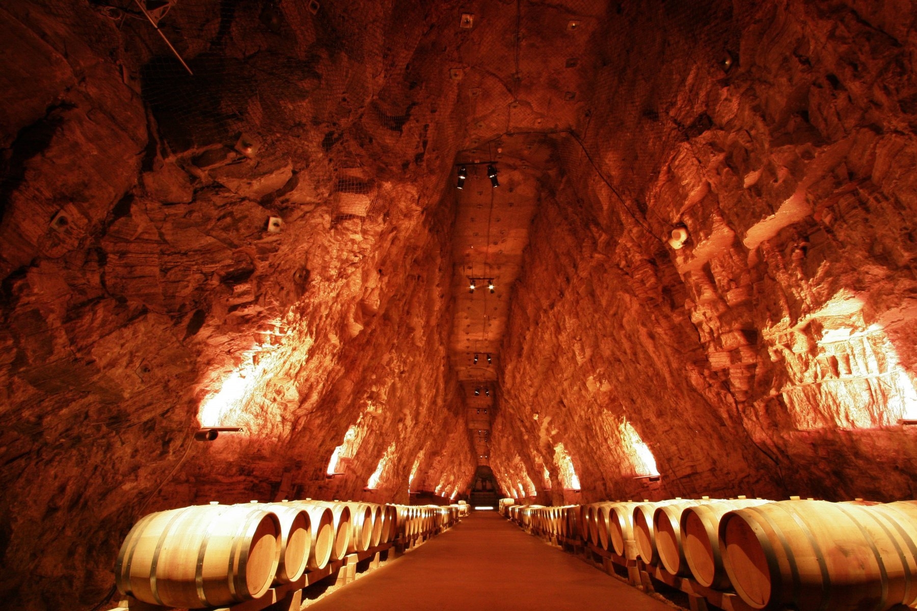 Sudfrance.fr - Visite de Terra Vinéa à Portel des Corbières